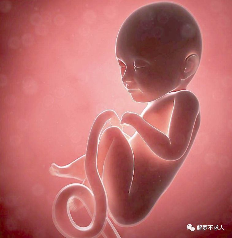 周公解梦梦见自己怀孕了什么意思(周公解梦梦见自己怀孕了什么意思啊)