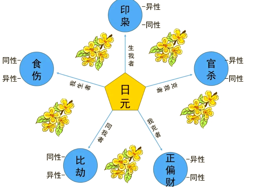 八字命理十神(八字命理十神的具体应用)