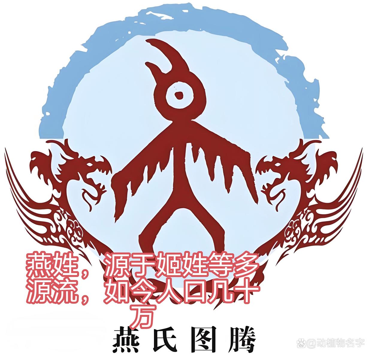 动物姓氏的排序(动物姓氏的排序规则)