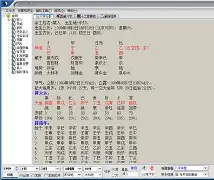 玄奥八字手机版官网(玄奥八字73安卓版)