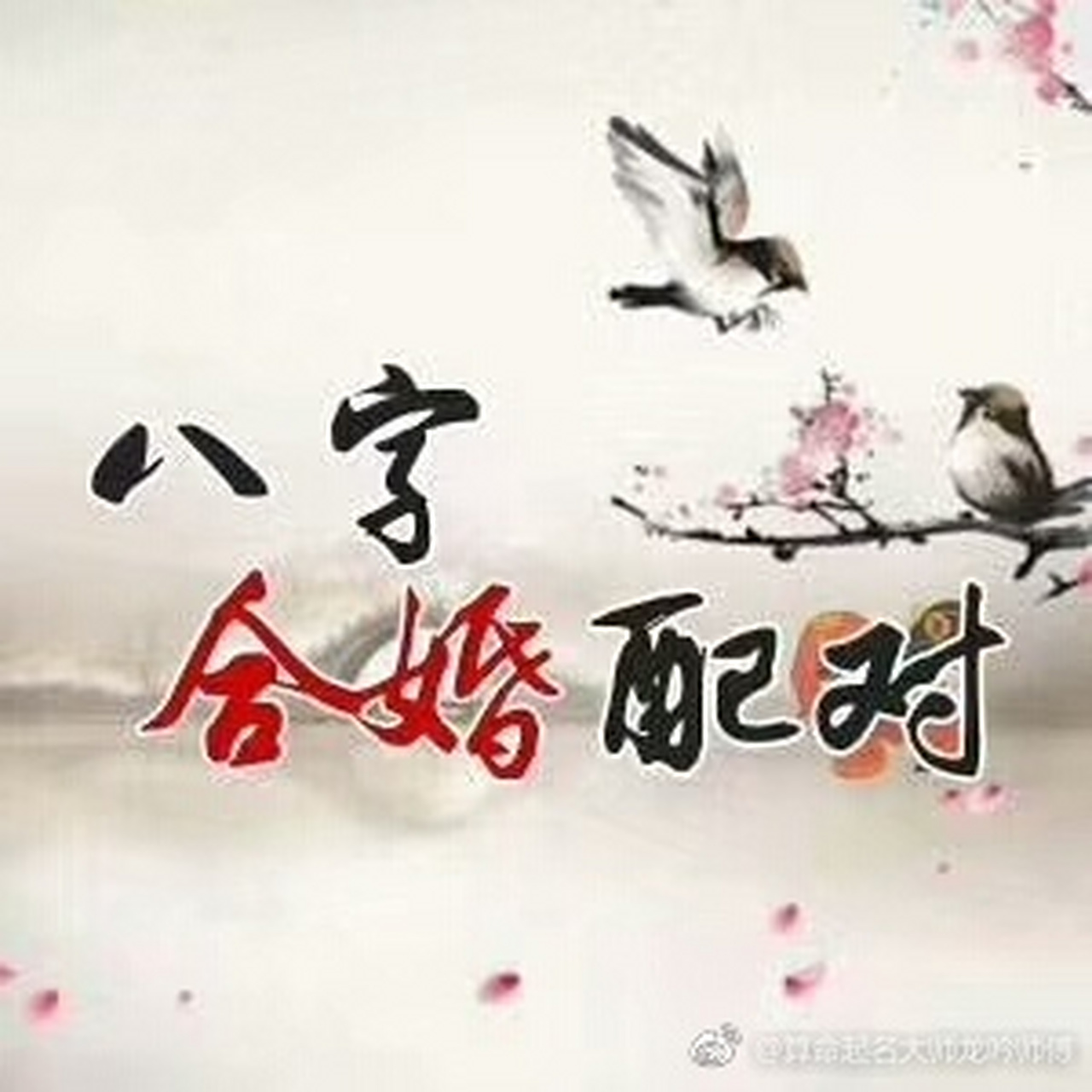 八字合婚文字(八字合婚合了6个字)