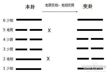 六爻占卜法解析(六爻占卜方法详细步骤)