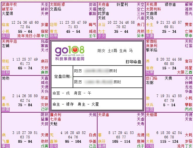 紫微八字排盘解读(免费排紫微斗数命盘)