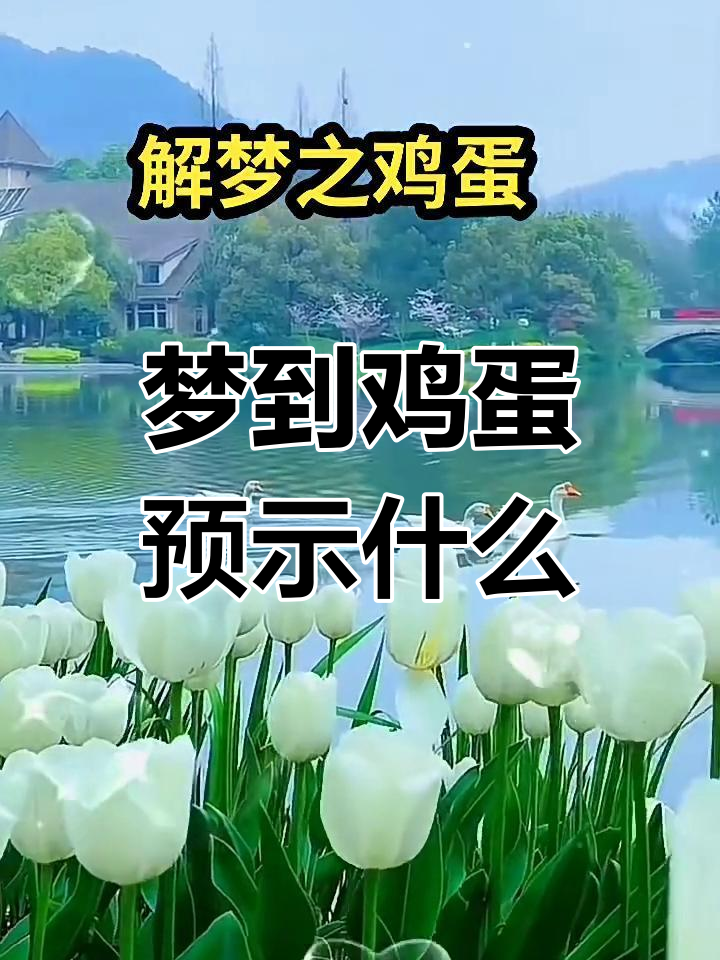周公解梦粪便梦境解析(周公解梦粪便梦境解析什么意思) 周公解梦粪便梦境解析(周公解梦粪便梦境解析什么意思)