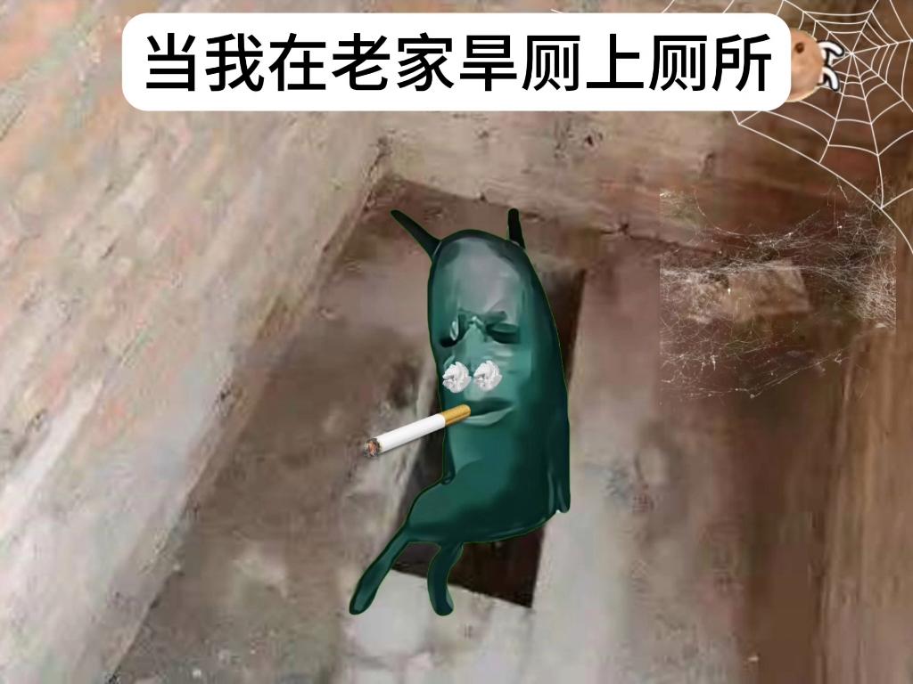 梦见旱厕的寓意(梦见旱厕是什么意思)
