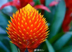 鸿运免费起名网(鸿运起名公司起名测试)
