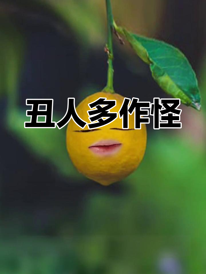 凭什么歧视丑人啊(凭什么歧视丑人啊笔趣阁)