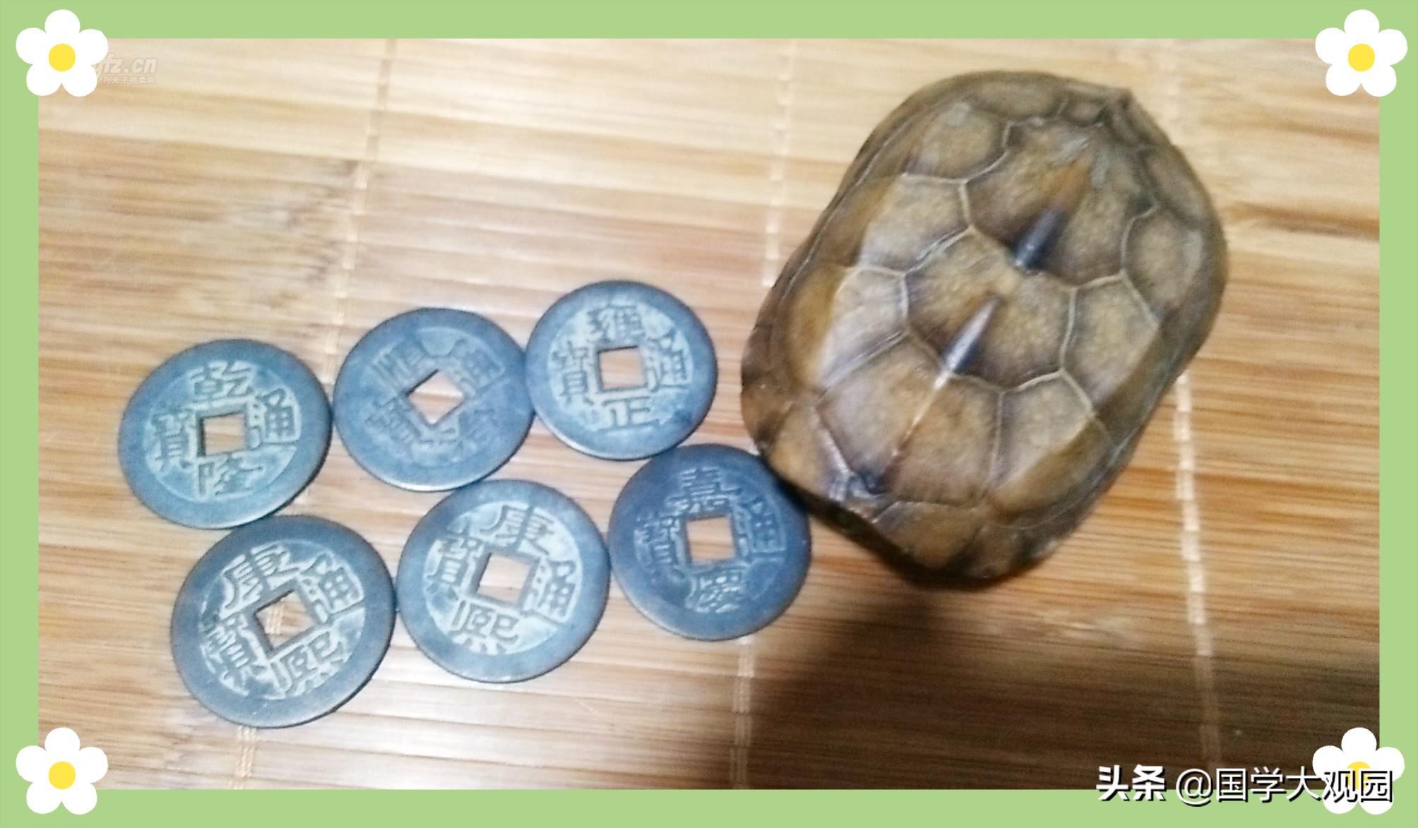 龟壳摇卦华易网(龟壳摇卦免费每日)