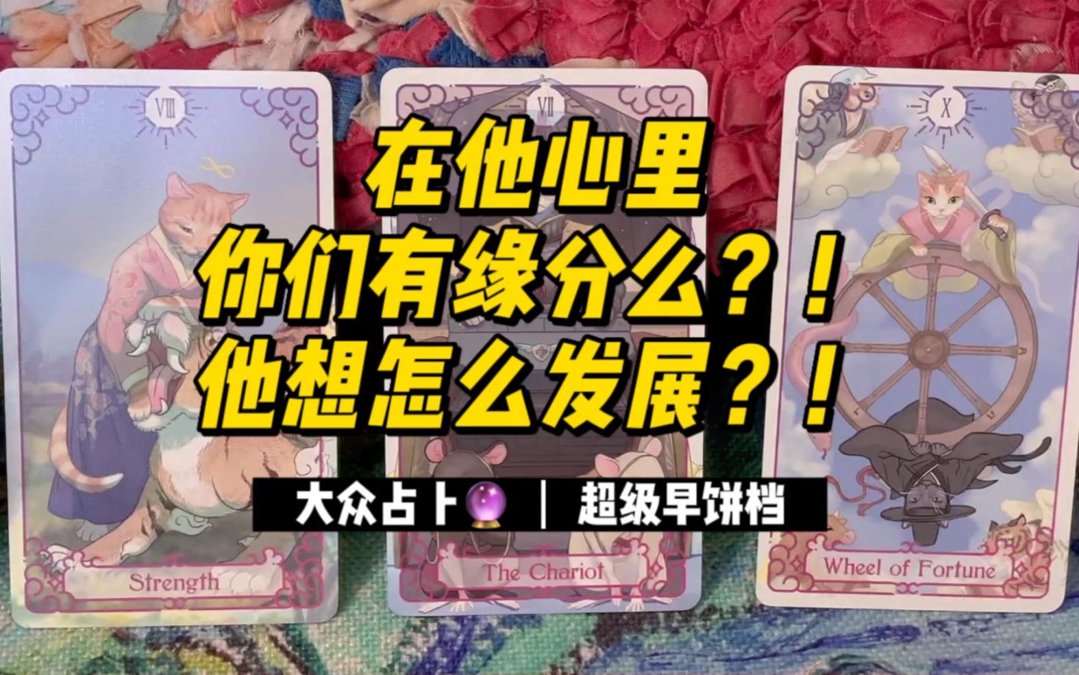 塔罗牌免费测试对方(免费塔罗测试免费)