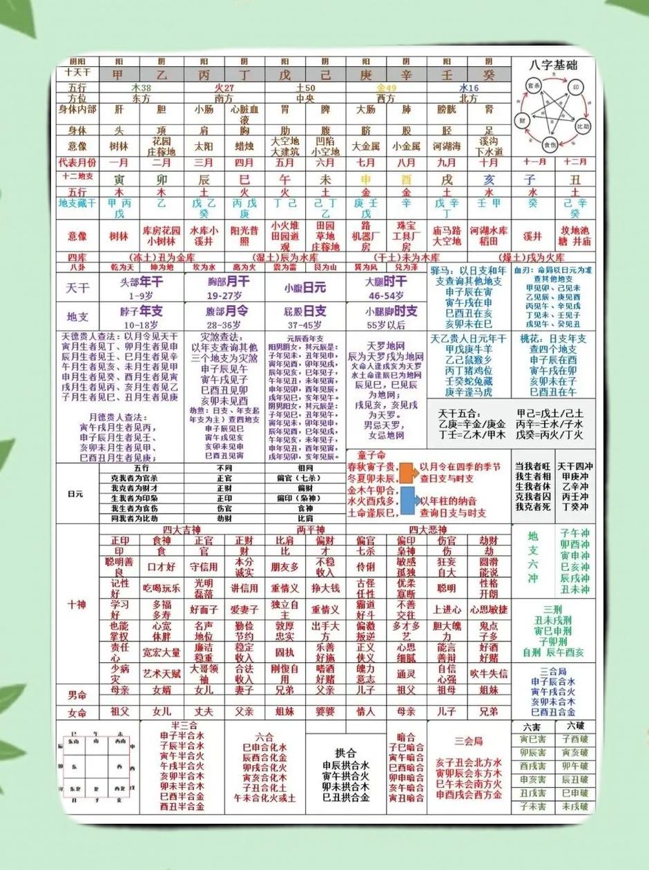 初学者八字入门步骤(如何学八字入门基础知识)