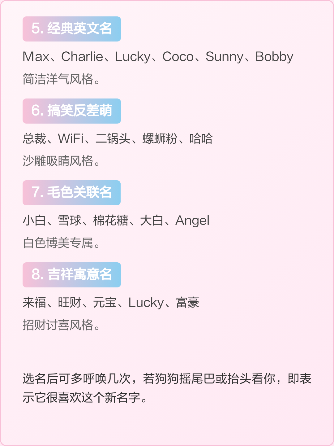 博美起名字女孩(博美起名字女孩名字大全)