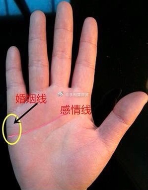 算命免费测爱情(算命免费测姻缘)