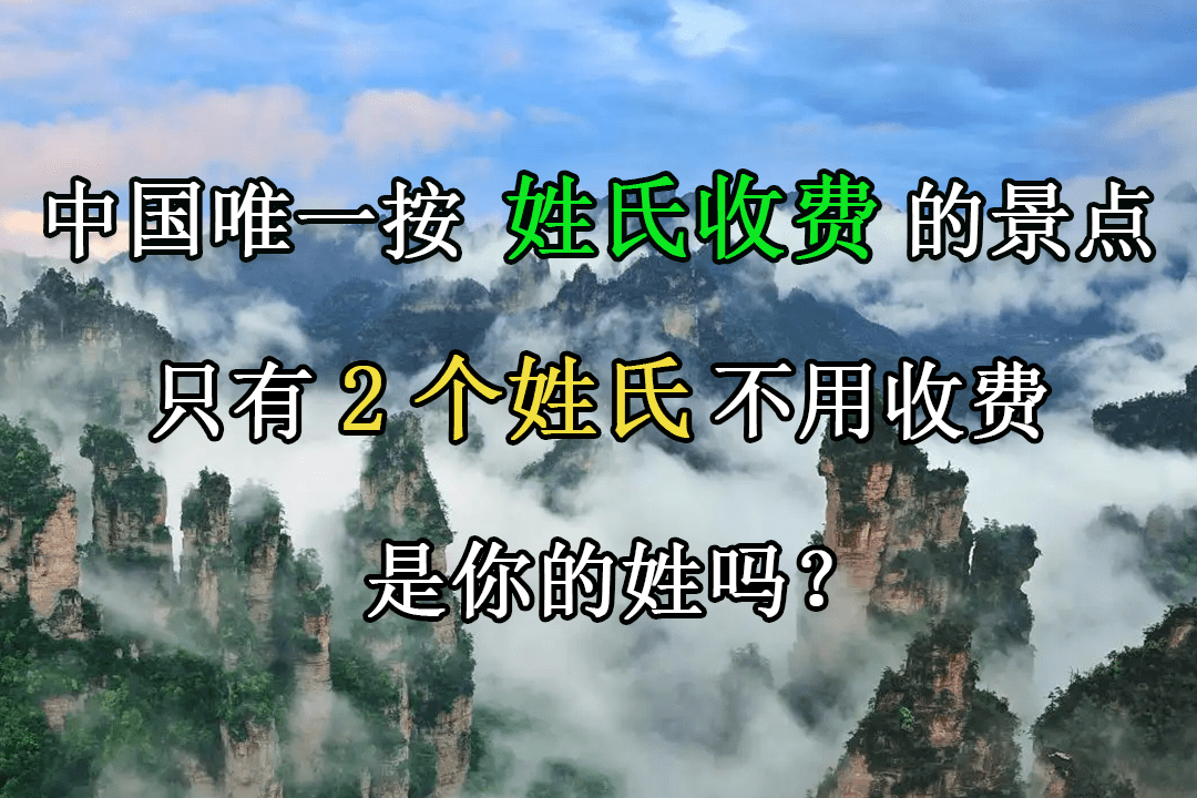 专业姓氏收费(姓氏费怎么向大家介绍)