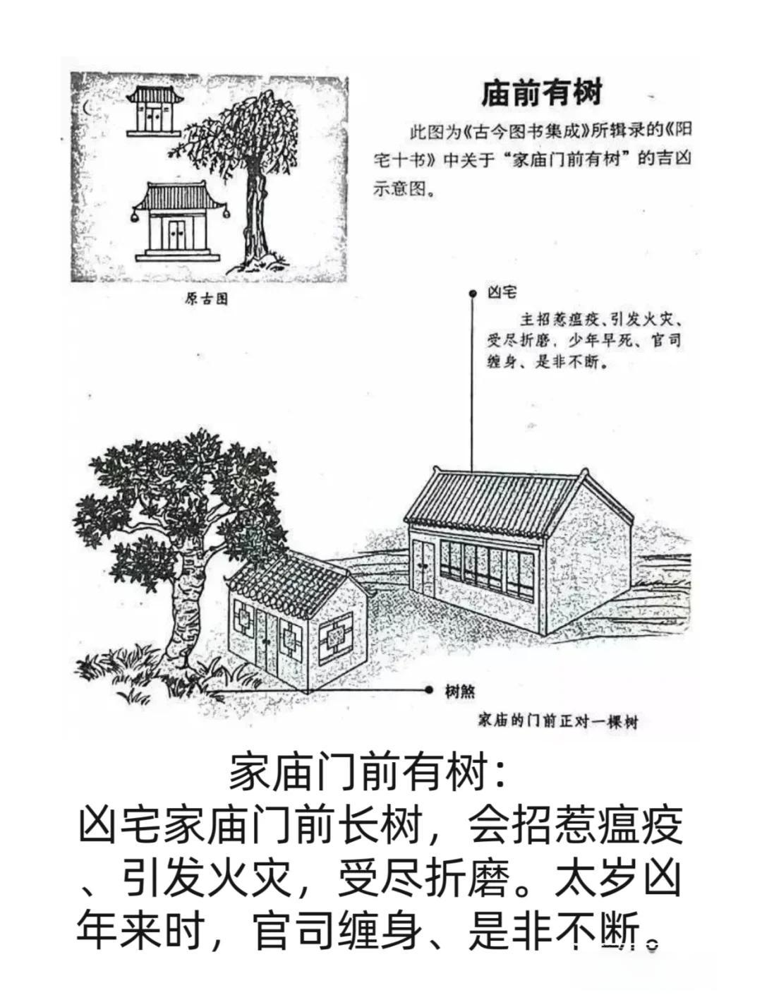 风水玄学常见误区有哪些图片(风水玄学常见误区有哪些图片和视频)