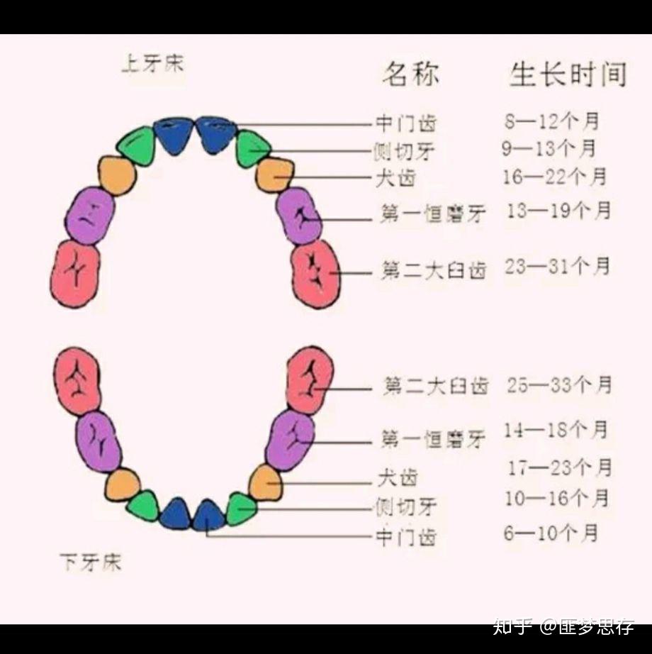 周公解梦大全免费版梦见掉牙齿(周公解梦大全查询梦见掉了一颗牙) 周公解梦大全免费版梦见掉牙齿(周公解梦大全查询梦见掉了一颗牙)