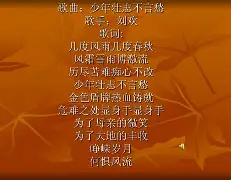 花瓣占卜歌词(苏新皓一天一天歌词)