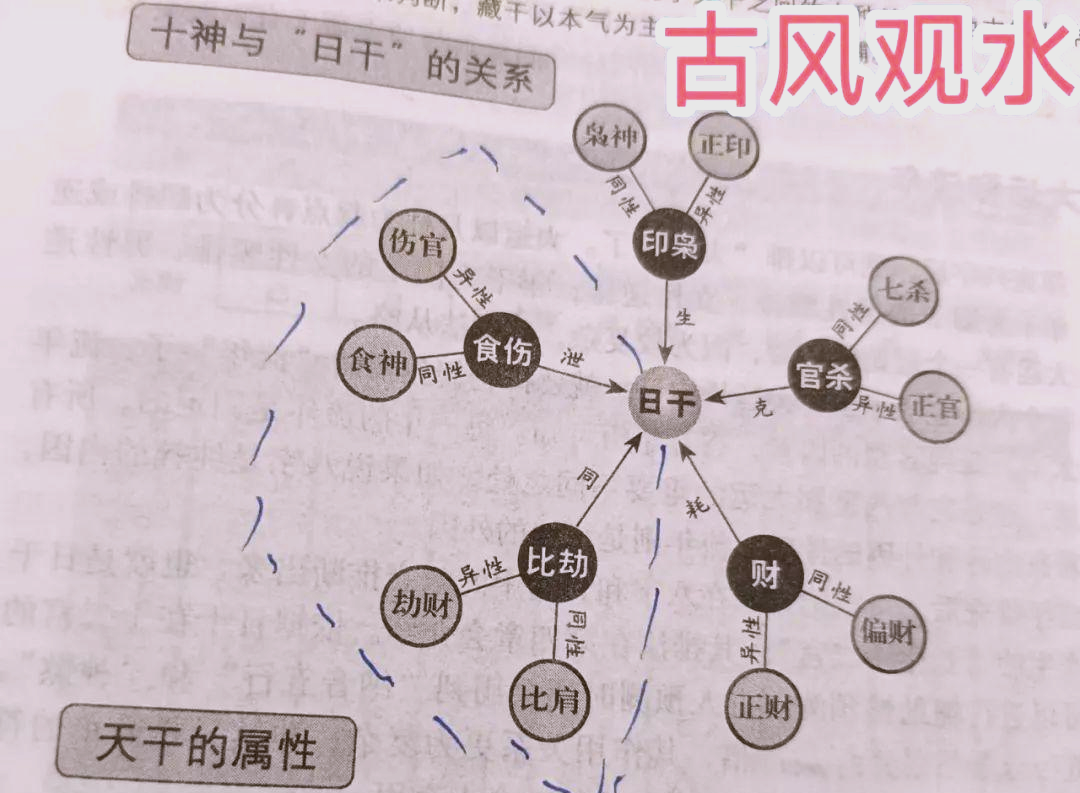 四柱八字解析(四柱八字详细解析)