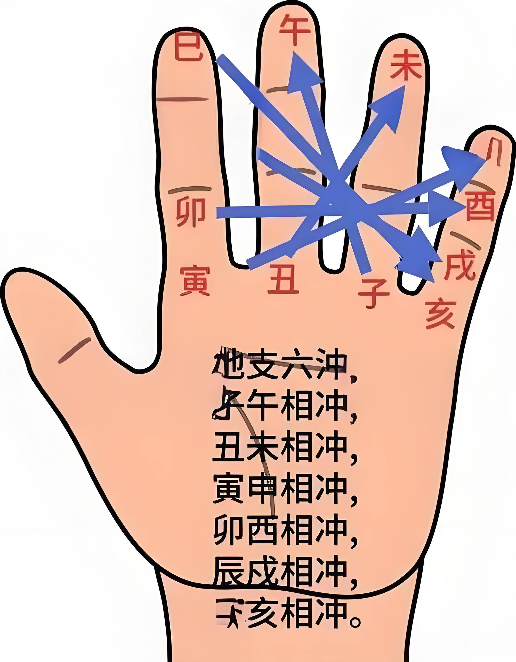 八字算命详解十二地支(八字算命详解十二地支查询)