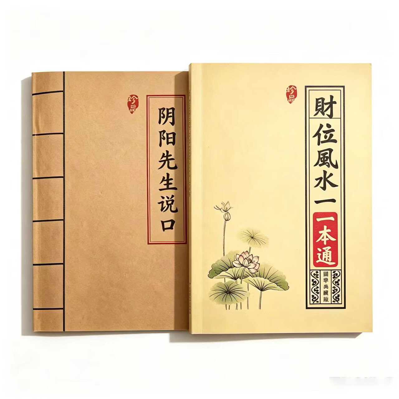 看风水和阴阳先生哪个好(阴阳先生看房子风水多少钱一次)