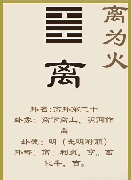 金钱卦每日一卦怎么玩(金钱卦每日一卦免费版下载)