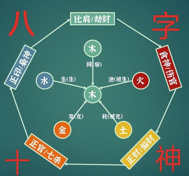 八字里十神是哪十神(八字里十神的含义详解)