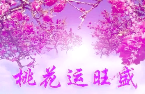 桃花运势(桃花运免费观看) 桃花运势(桃花运免费观看)
