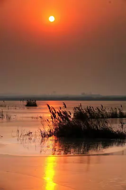 风水师张秩也个人简历(风水师张秩也个人简历介绍)