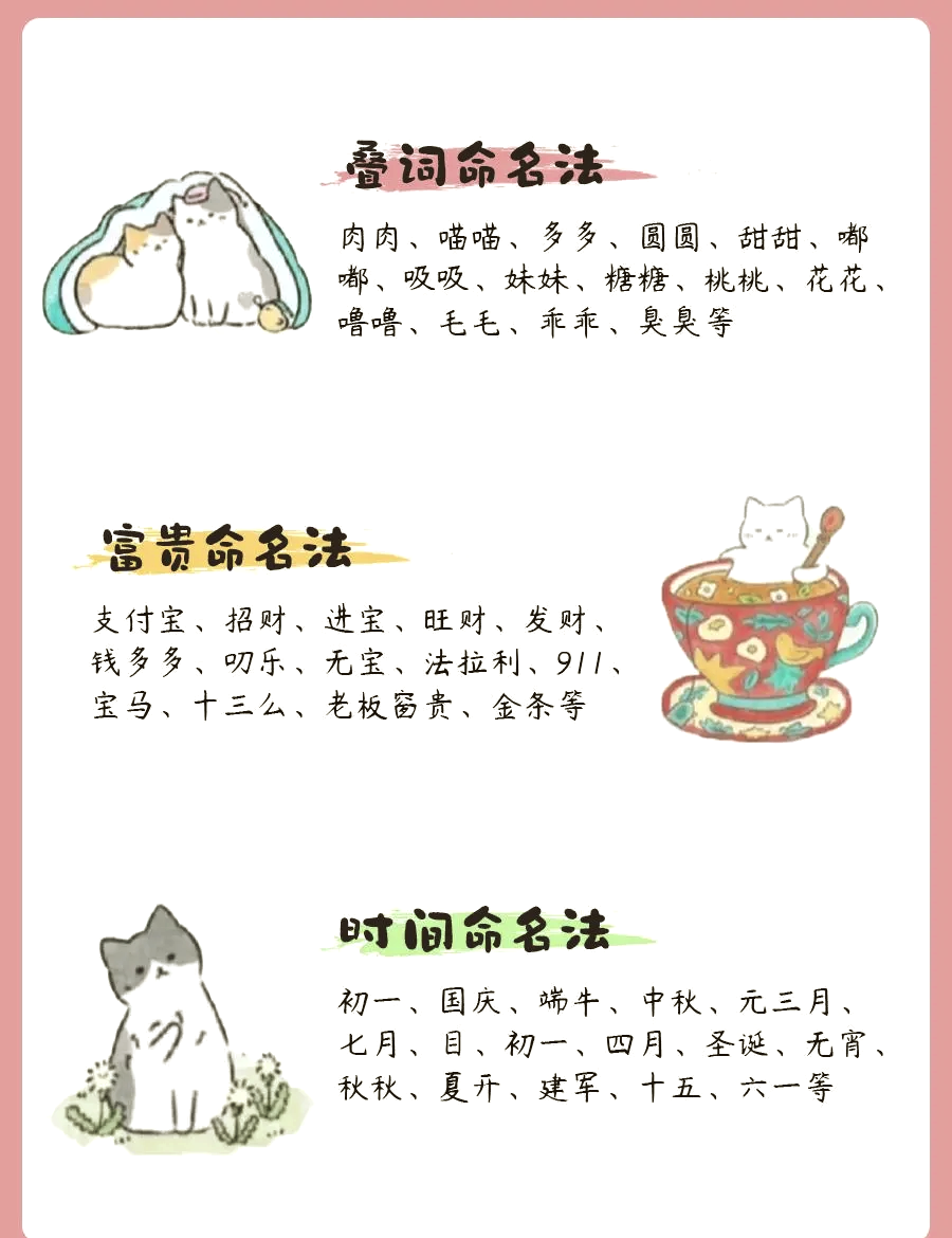 常见动物的个性名字(动物不常见的名字大全)