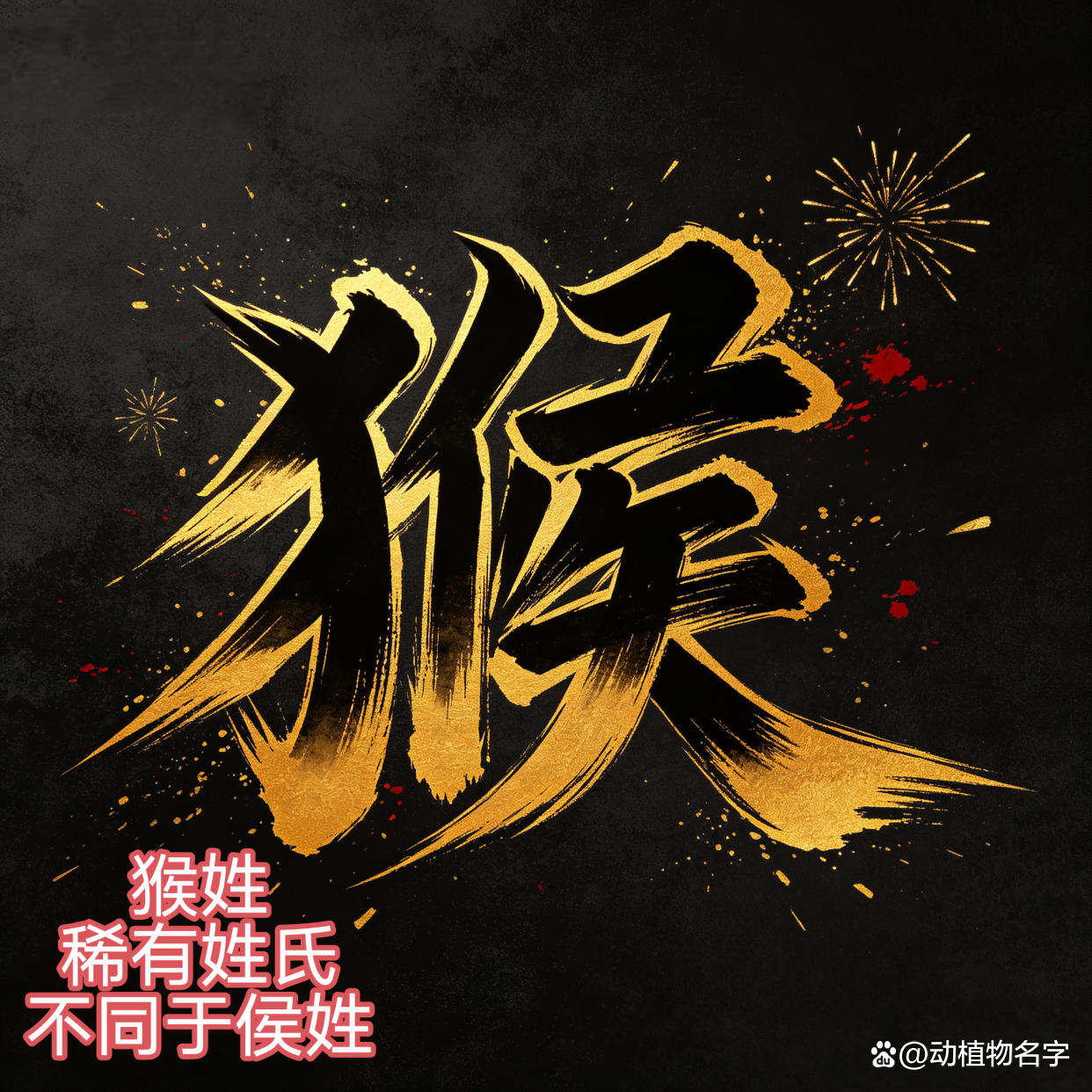 动物为姓的有哪些(以熊为名子的动物有哪些)
