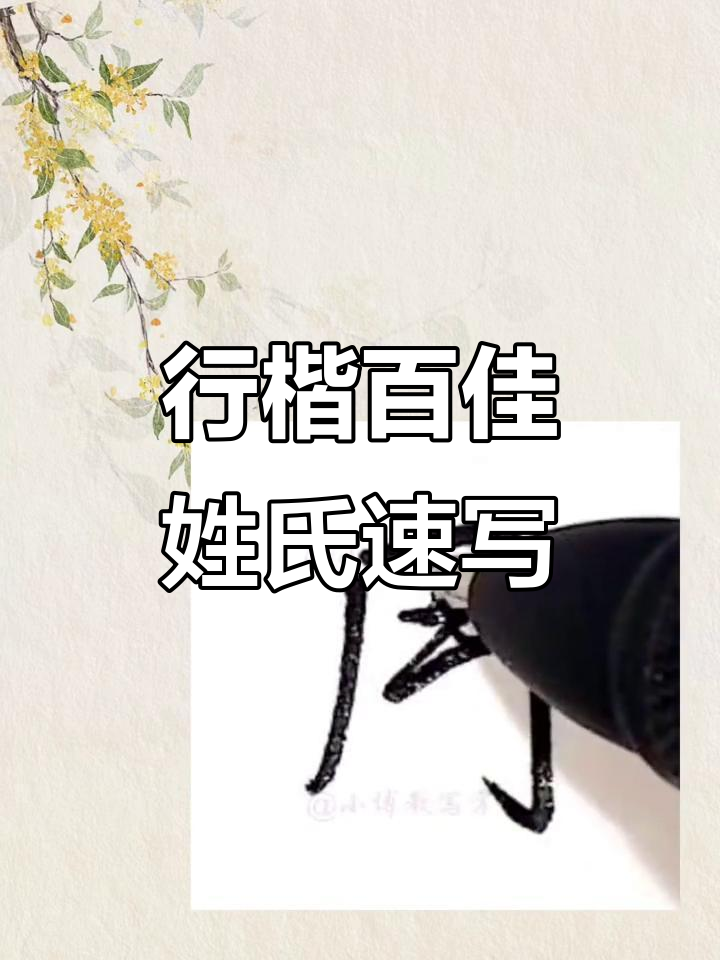 百家姓完整版排版(百家姓完整版全文统编版)