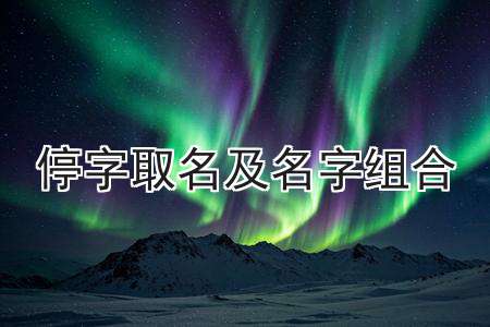 在线起名测名(在线起名大全在线字典)