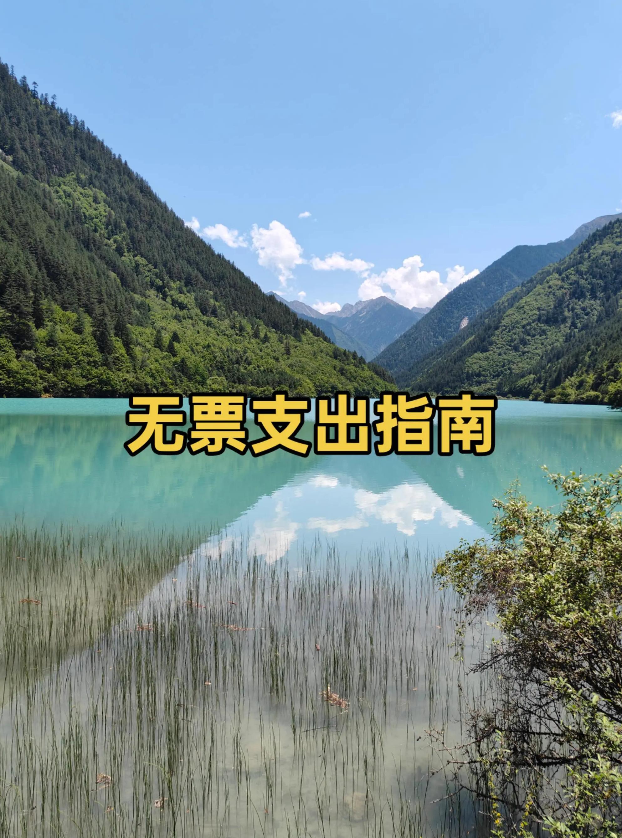 详细姓名成本(姓名成分测试打分)
