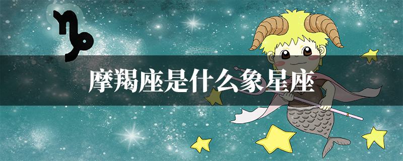 摩羯土象是什么性格(摩羯土象是什么性格的人)
