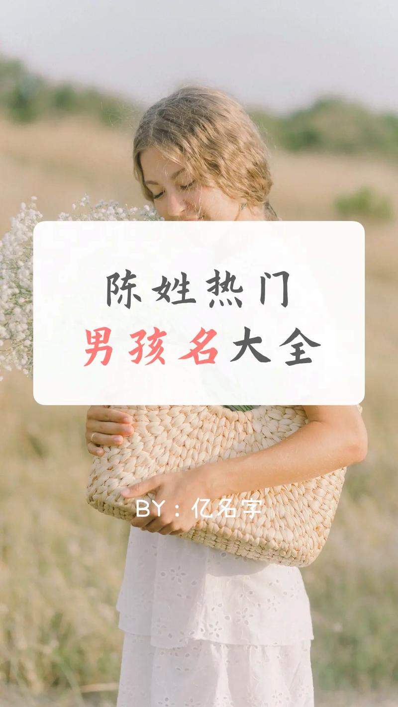 打分取名(取名打分100分是什么意思)