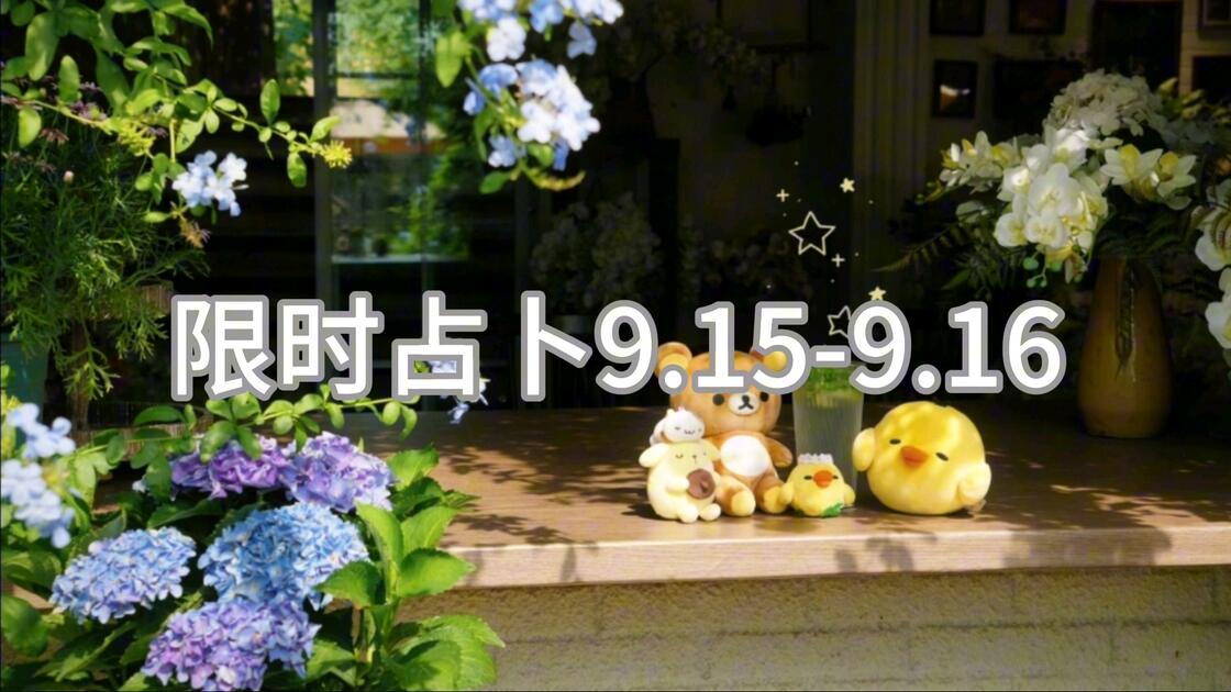 免费解答占卜问题app(免费解答占卜情感问题的软件)