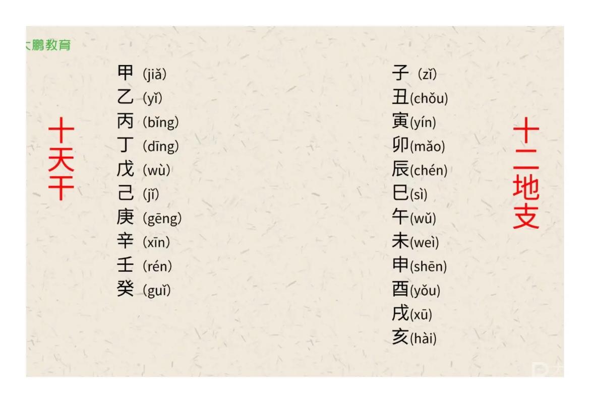 卜卦怎么读出来(卜卦怎么读音是什么意思)