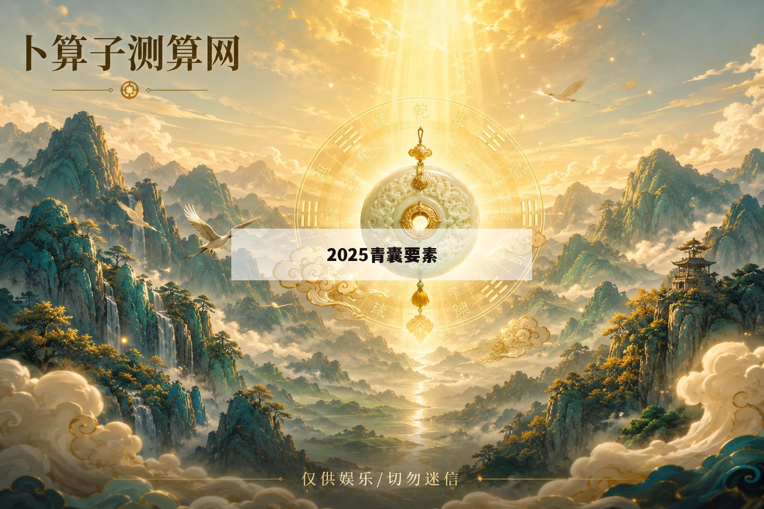 2025青囊要素(青囊计划是什么意思)